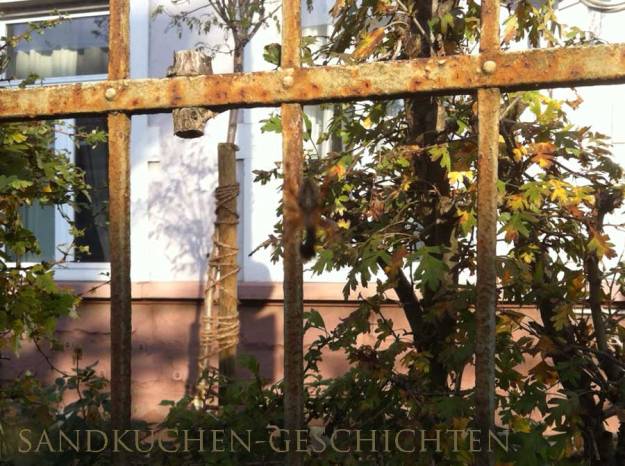 Nichts für schwache Nerven. Und schon gar nicht für schlechte Augen.