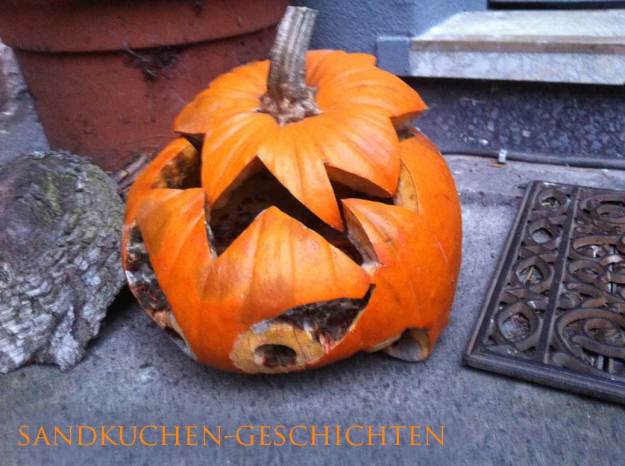 Fast so schöne Schimmelkulturen wie in einer vergessenen Brotbox