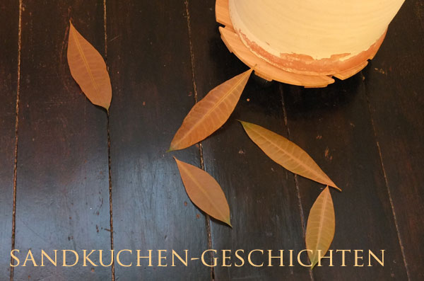 durstige-zimmerpflanzen