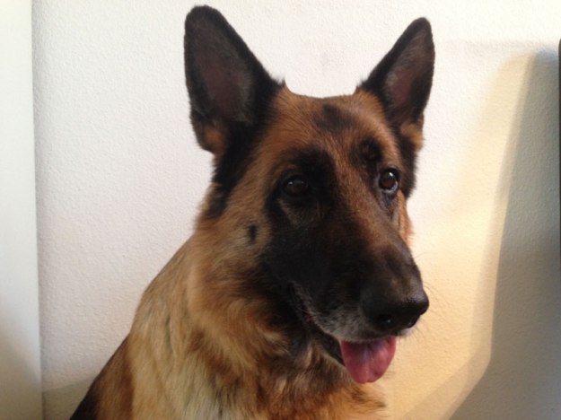 geburtstagskind-dolly