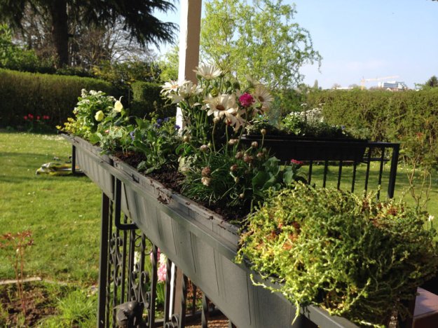 bepflanzte-blumenkaesten