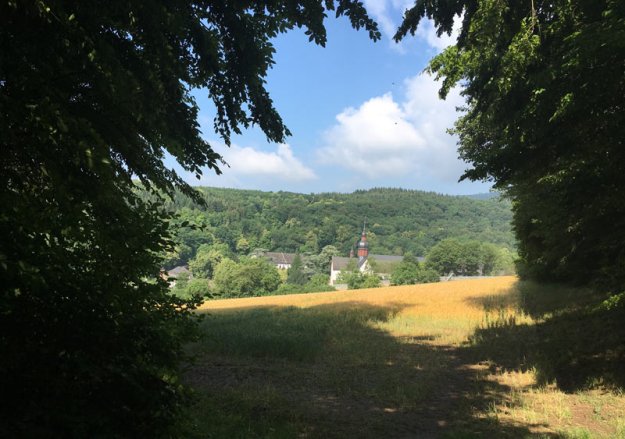 blick-auf-kloster-eberbach