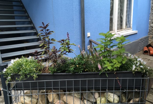 blumenkasten.jpg