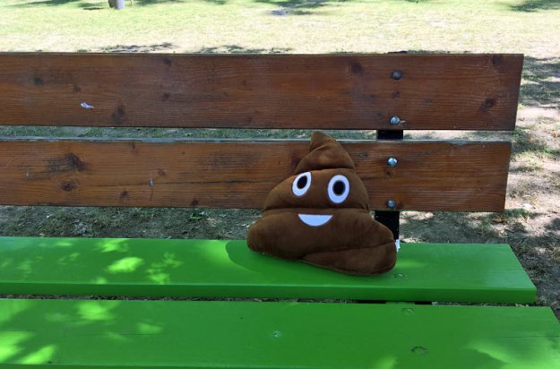 kackhaufen-auf-bank.jpg