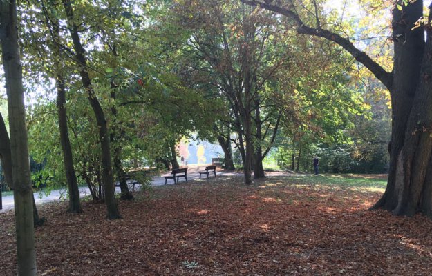 schlosspark-im-herbst.jpg