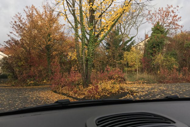 herbstfarben.jpg