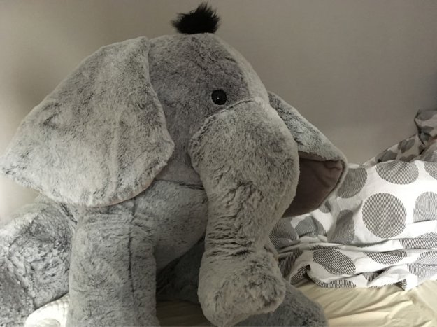 riesenkuschelelefant.jpg