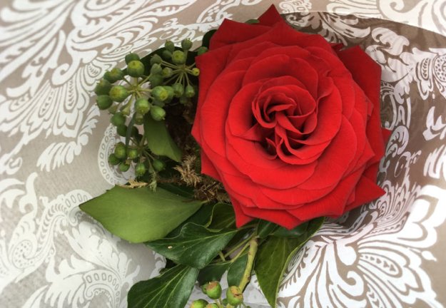 rose-in-der-dose-101118