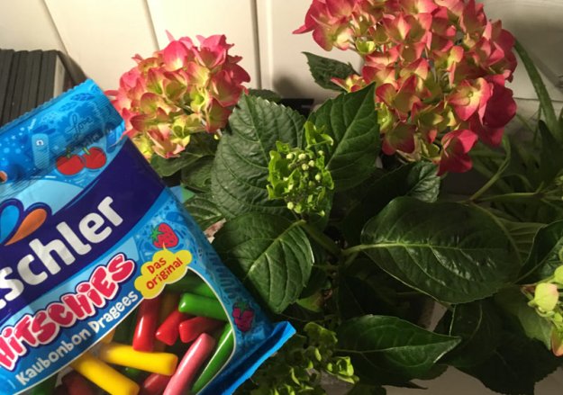 blumen-fuer-schwester