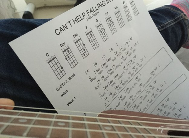 canthelpfallinginloveforukulele