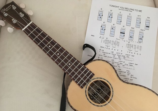 tonight-you-belong-to-me